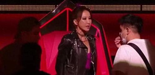 好声音导演爆料视频,幕后故事与精彩瞬间大曝光  第3张